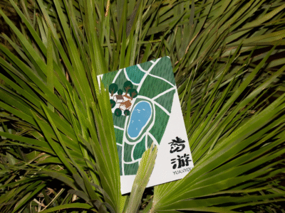 Image for Mengyuan Dong